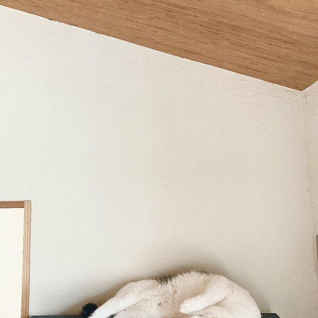 【一番の敵】