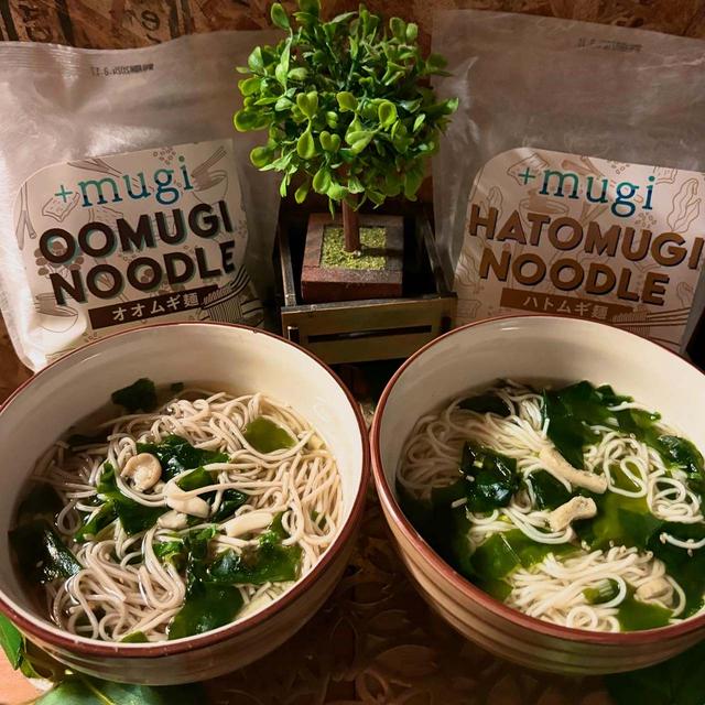 【+mugi】即席麺(ハトムギ麺・オオムギ麺)