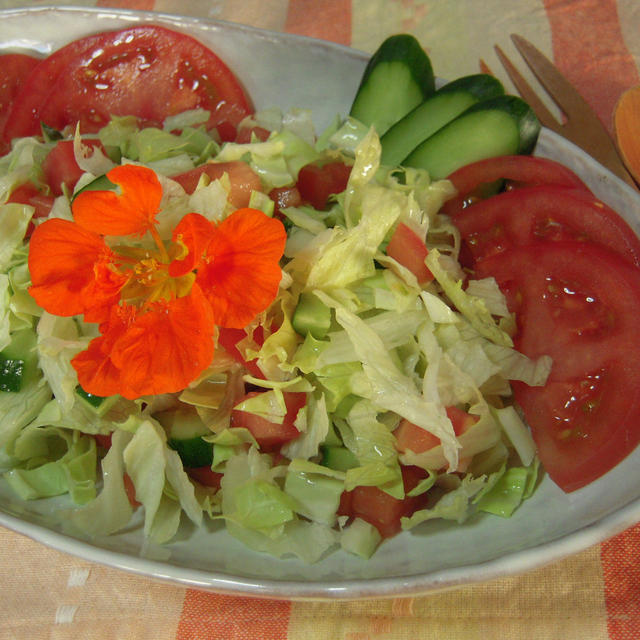 野菜サラダ・萩焼の器で