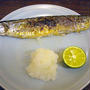 築地・和食かとう「新サンマ塩焼き」