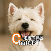 老後の練習　ChatGPT