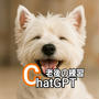 老後の練習　ChatGPT