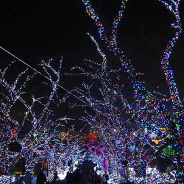 クリスマスイブは・・・と、トナカイニャン♪