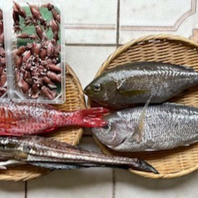 魚のお取り寄せ＿2024年2月