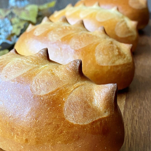 初心者必見！パン作りをより詳しく解説！パン・ピコ　トゲのあるパン