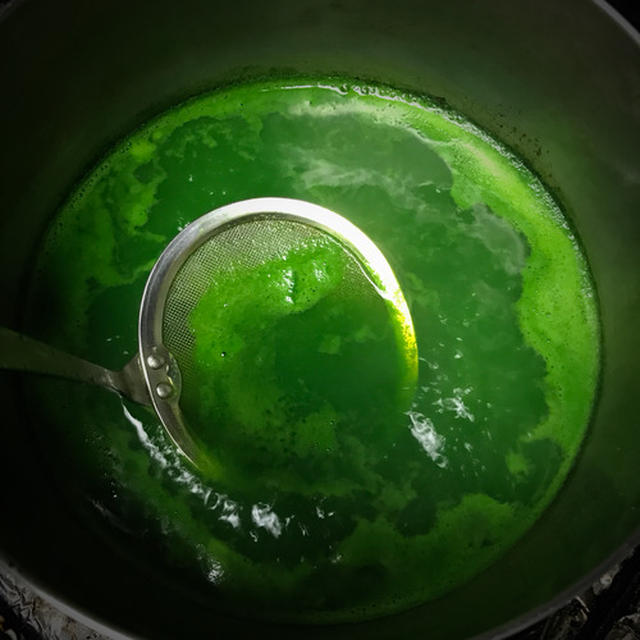 天然着色料 緑色の着色に便利な青寄せの作り方 By 山本リコピンさん レシピブログ 料理ブログのレシピ満載