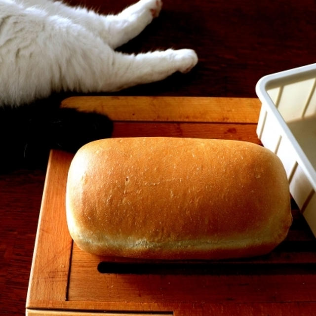 黒糖ミニ食パン・・自由すぎる。