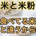 米と米粉の違い