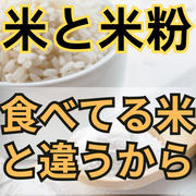米と米粉の違い