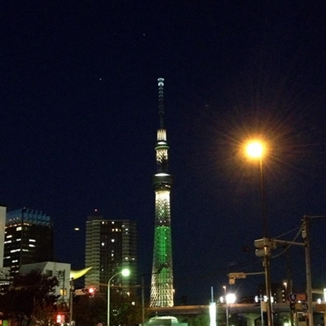 東京にて～初めての酉の市。