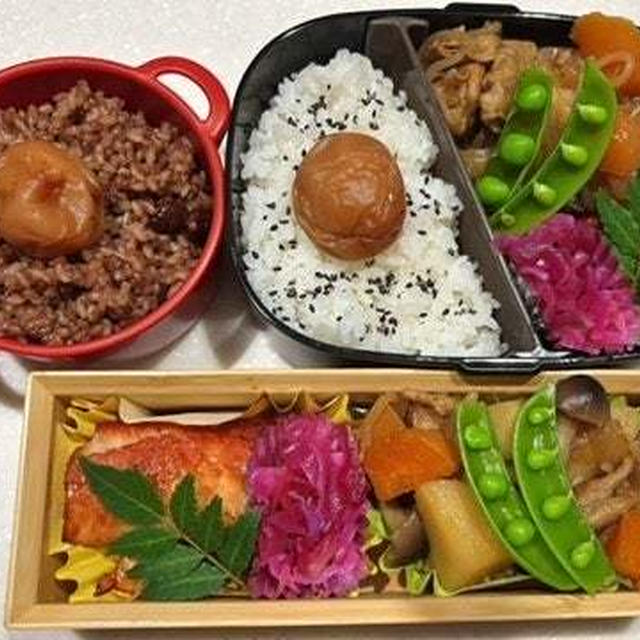 大誤算！、肉じゃが弁当、バラ、農水大臣・・・