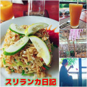 ランチ～帰路～ホテル　@シギリヤ　スリランカ日記