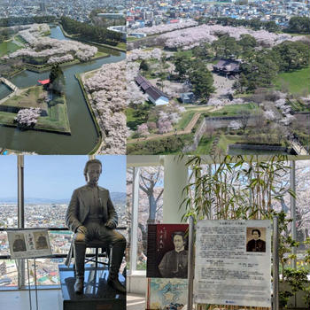 ⭐️五稜郭⭐️
