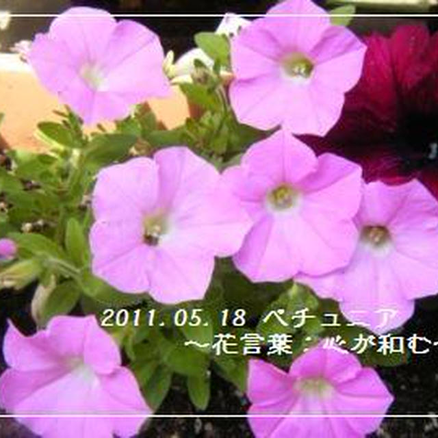 【記録】２号機にも作業員