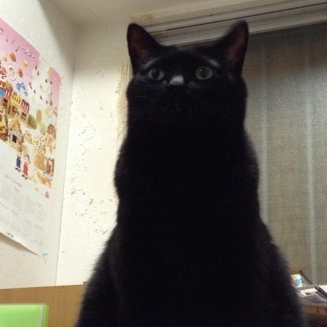 元旦でした