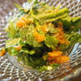 春菊のサラダ　リンゴのすりおろしドレッシング