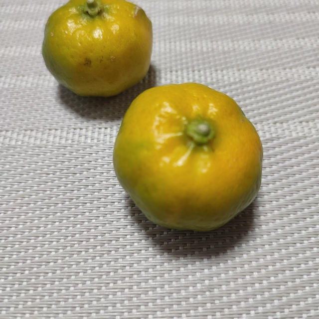 とある日の感謝の戴き物