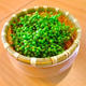 麻婆豆腐