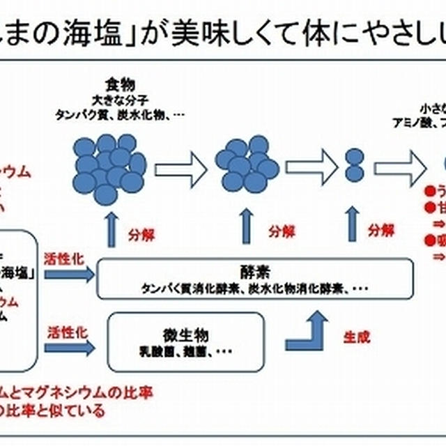 とろり塩麹を使ったおすすめ簡単レシピ