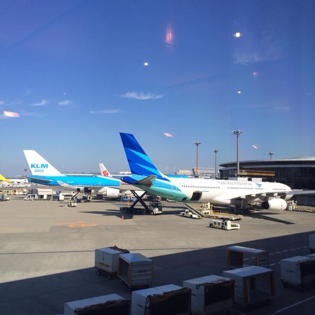 飛行機乗ってみよ〜♫