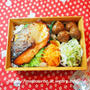 鮭の味噌漬けのお弁当