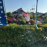 一番自分が信じられない