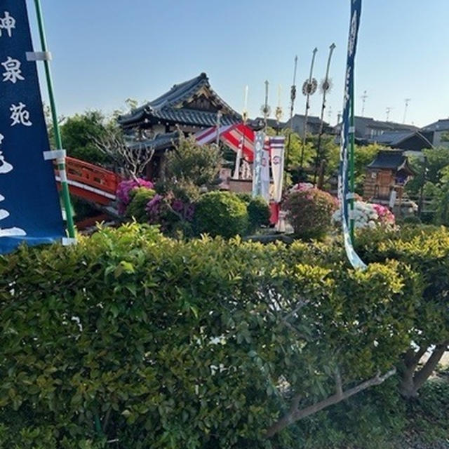 一番自分が信じられない