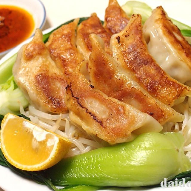 飽きのこない美味しさ！『手包みジャンボ餃子』 餃子のヨコミゾ