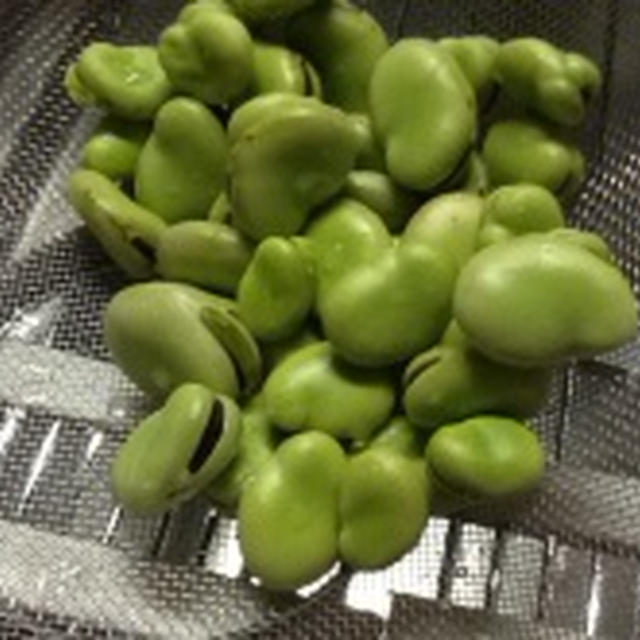 夏豆とは！