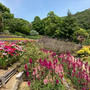 和歌山県植物公園緑花センター