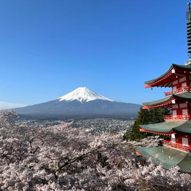 今年2度目の桜。と 贅沢いちごパフェ。