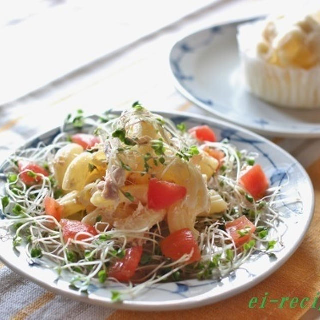 朝食にもオススメ～ミックスカールスプラウトのマカロニサラダ♪