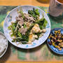 豚肉と豆腐のチャンプルー