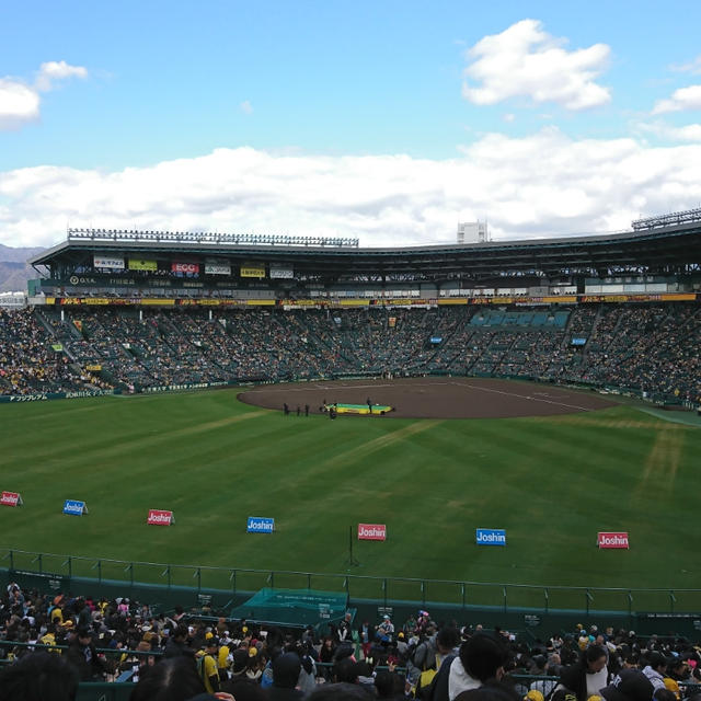 ＊阪神タイガースファン感謝デー2018＊