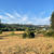 夏のSebastopol＿①