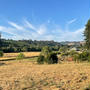 夏のSebastopol＿①