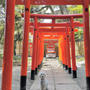 わんこ to 開運散歩 ♡ 來宮神社