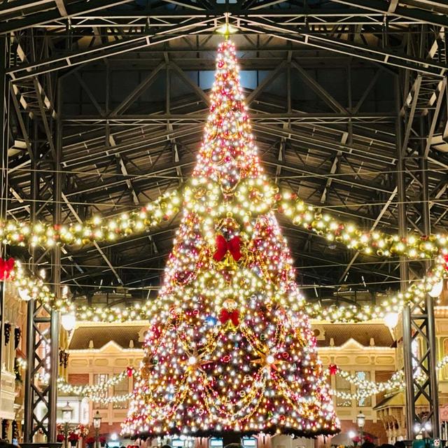 3年ぶりのディズニーランドで変わっていた事。と 混雑時でも大満喫‼︎