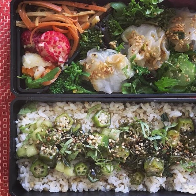 海老オクラの蒸し餃子風ライスダンプリングとオクラめかぶ飯弁当