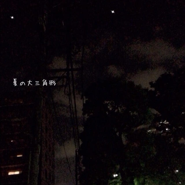【子育て】星座の観察☆夏の大三角形とやぎ座流星群