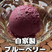 【ブルーベリージェラート】今日は朝から♡と昨日の購入品！