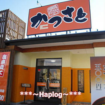 かつ丼のかつさと 春日井店 