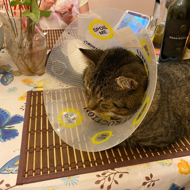 唐揚げとチキンウイング