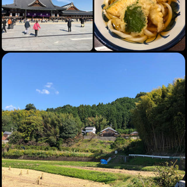 奈良の山辺の道へ