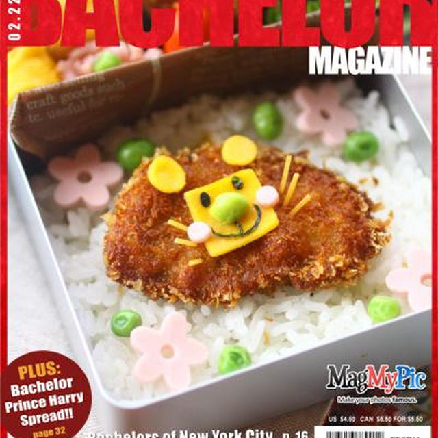 ペラッペラとんかつライオン弁当。プラスの話。
