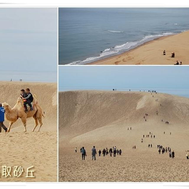 鳥取旅行♪
