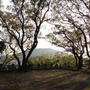 徳島城公園～