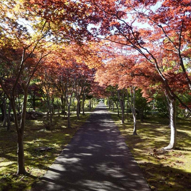【Ameba写真部】平岡樹芸センター