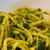ズッキーニのパスタ - Spaghetti con zucchine - 
