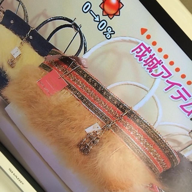 成城マダム御用達バッグ